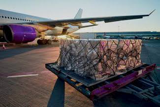 Airport pick up service